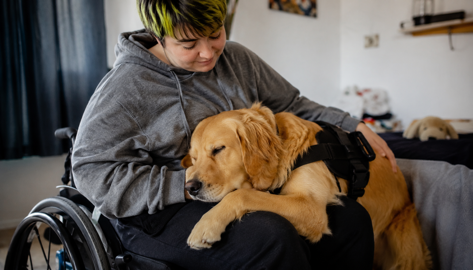 Autistic Adults & Service Dogs: Why an ID Card Changed Everything